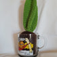 Cacti in vintage cup