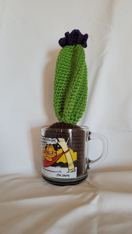 Cacti in vintage cup