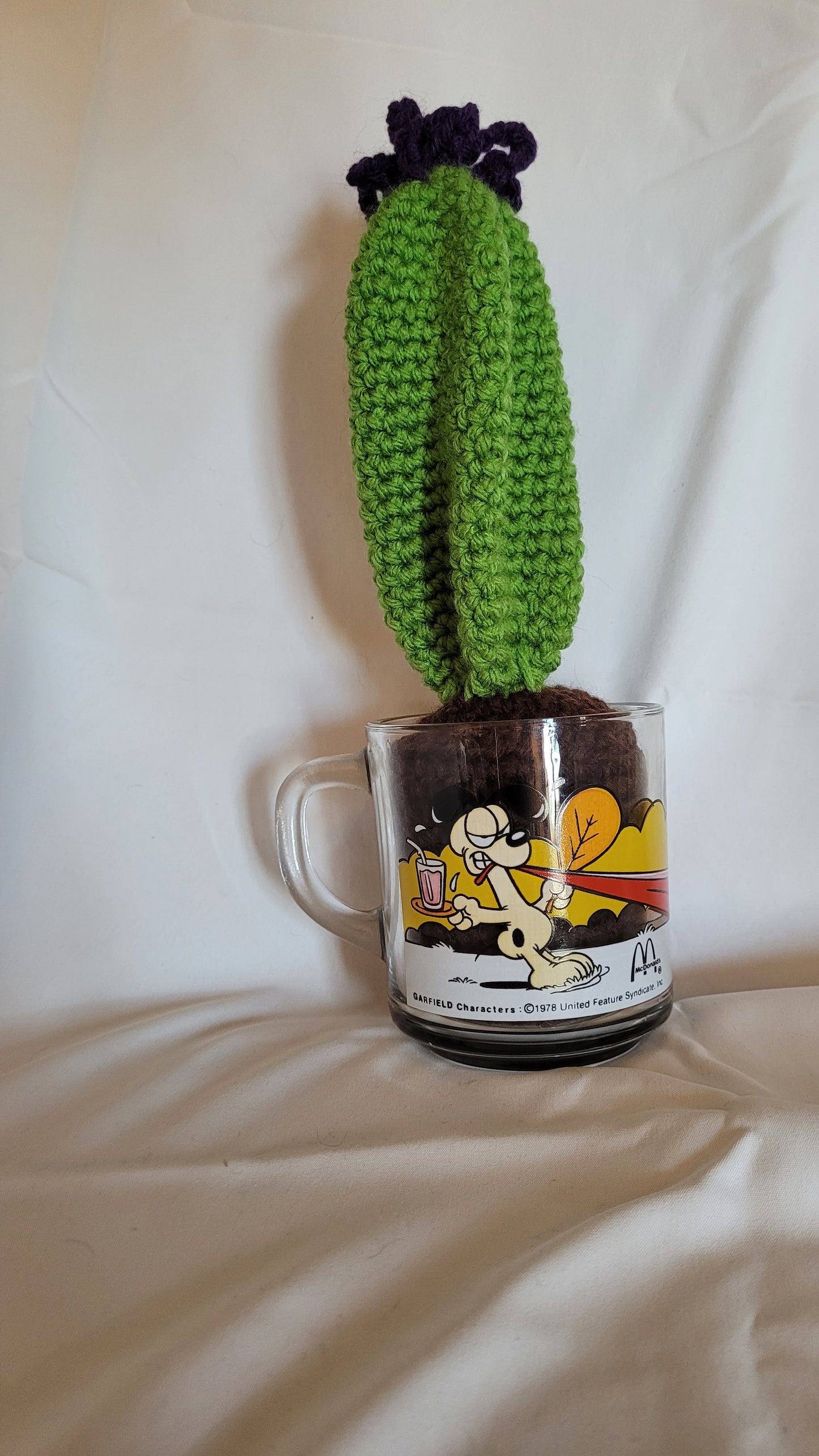 Cacti in vintage cup