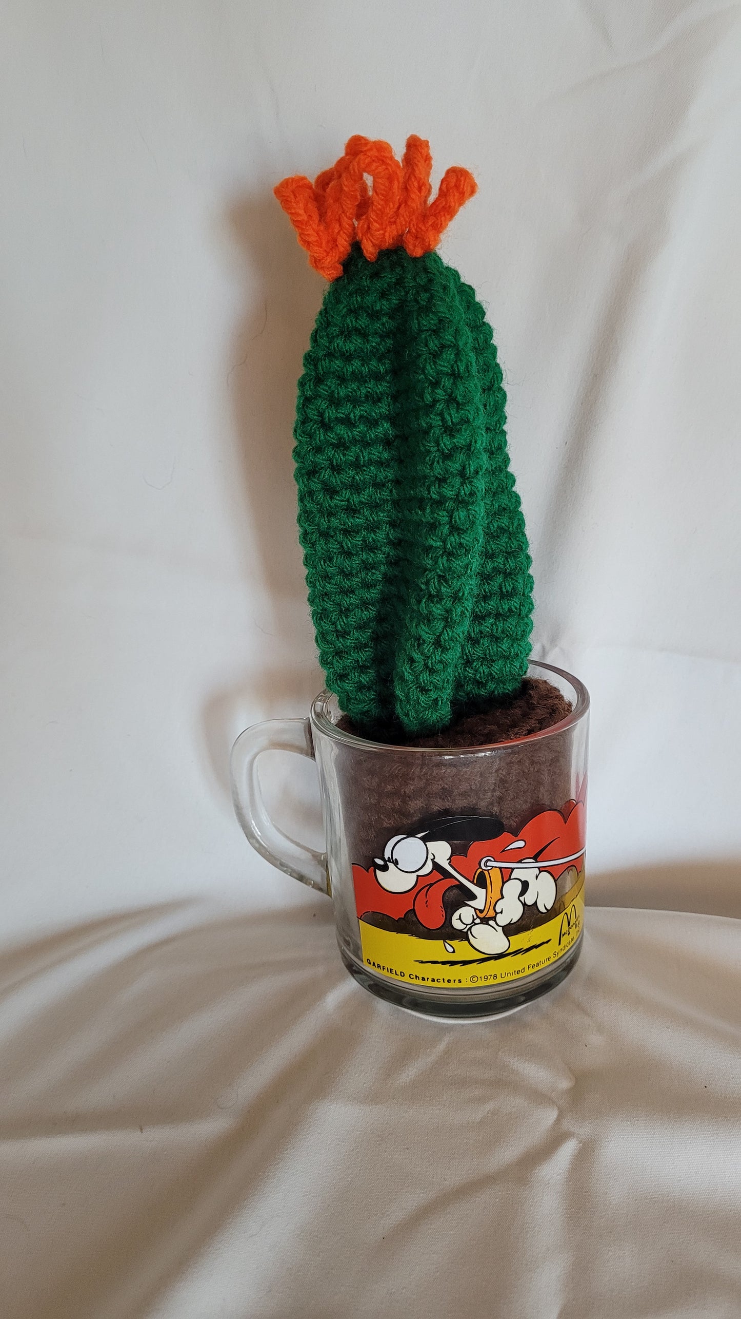 Cacti in vintage cup