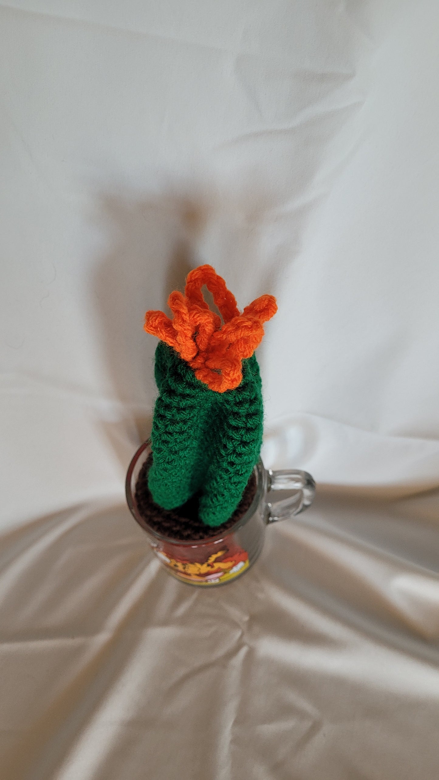 Cacti in vintage cup