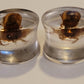 Resin plugs with Bugs