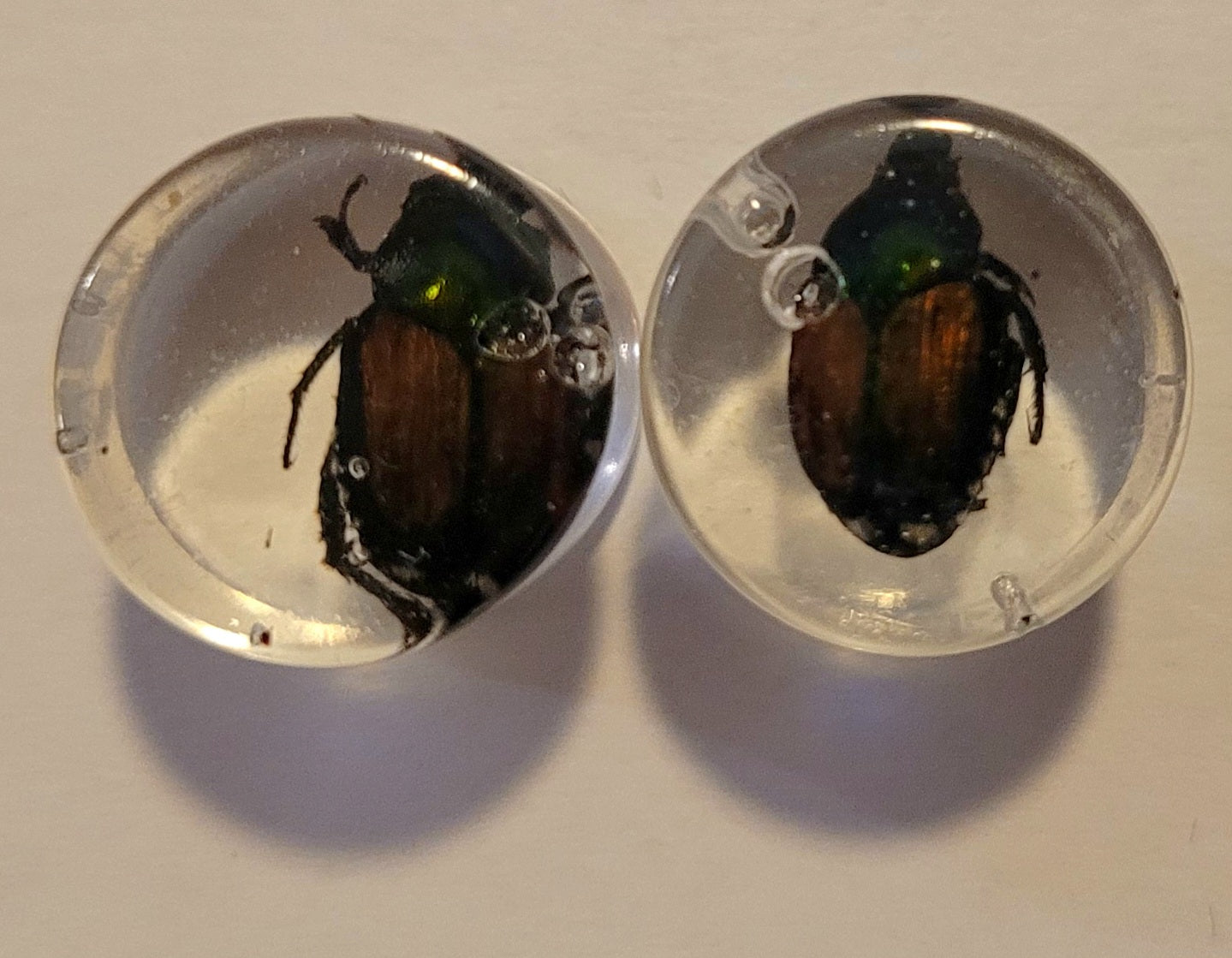 Resin plugs with Bugs