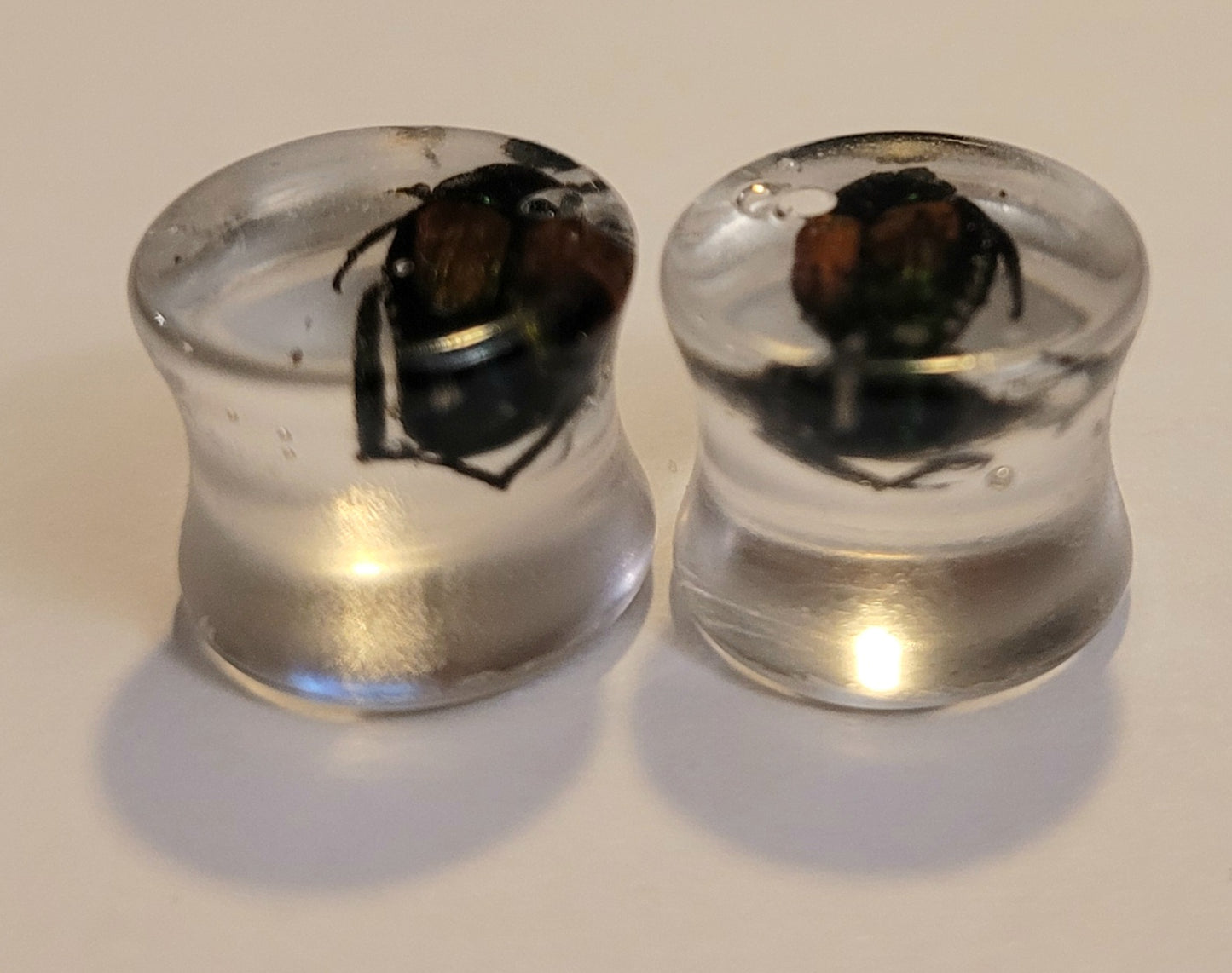 Resin plugs with Bugs